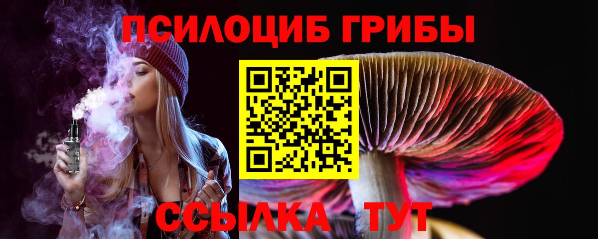 где найти   Галлюциногенные грибы Cubensis  Гагарин  Вход с VPN  Псилоцибиновые грибы мицелий 