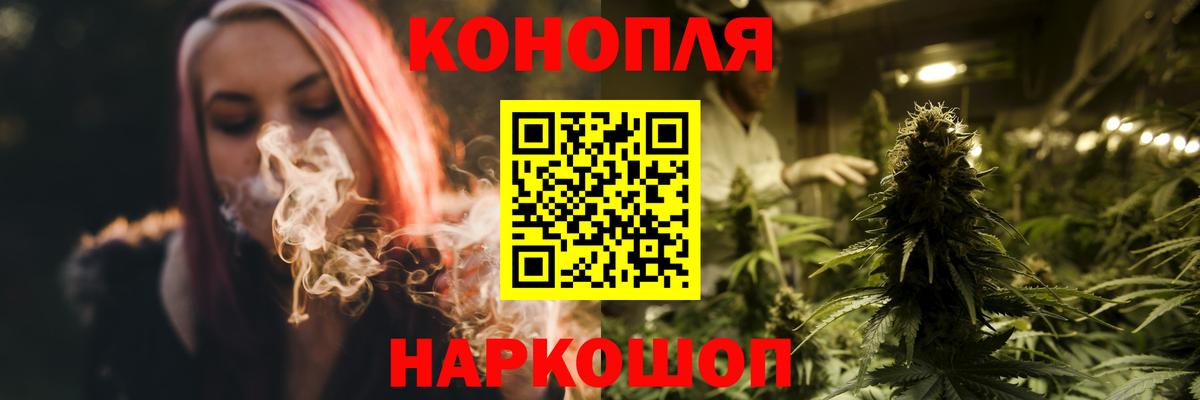 Бошки Шишки семена Гагарин